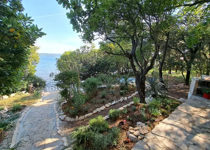 House Suzi Nyaraló *